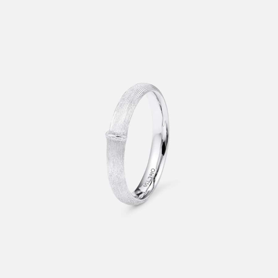 Nature Men's Ring Small in 18 Karat White Gold | Ole Lynggaard 